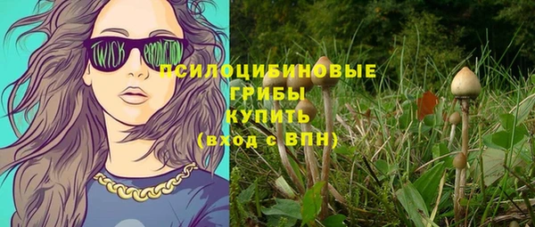 гидропоника Белокуриха