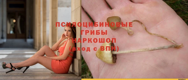 гидропоника Белокуриха